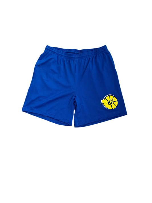 Spree Mesh Shorts